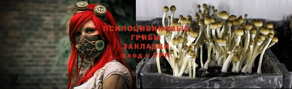 прущая мука Армянск