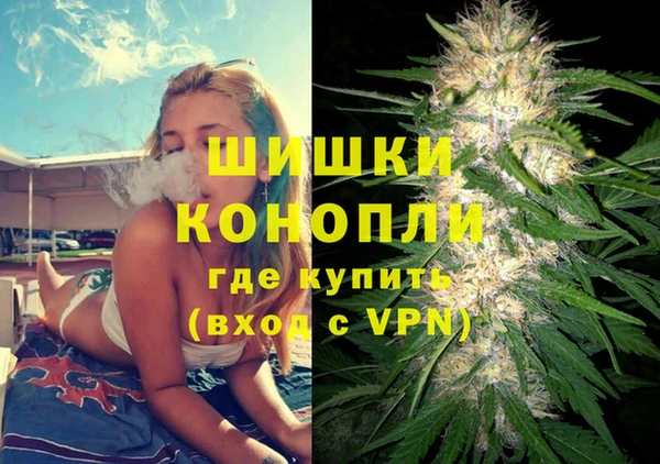 ешки Арсеньев