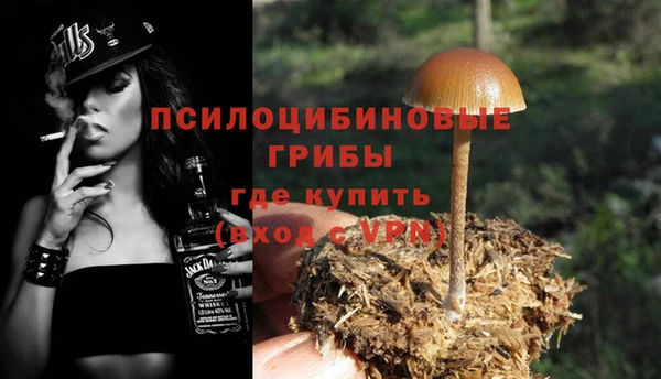 ешки Арсеньев