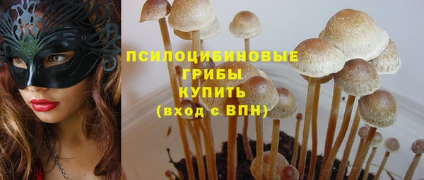 ешки Арсеньев